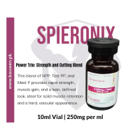 Spieronix 250mg Spieronix 250mg